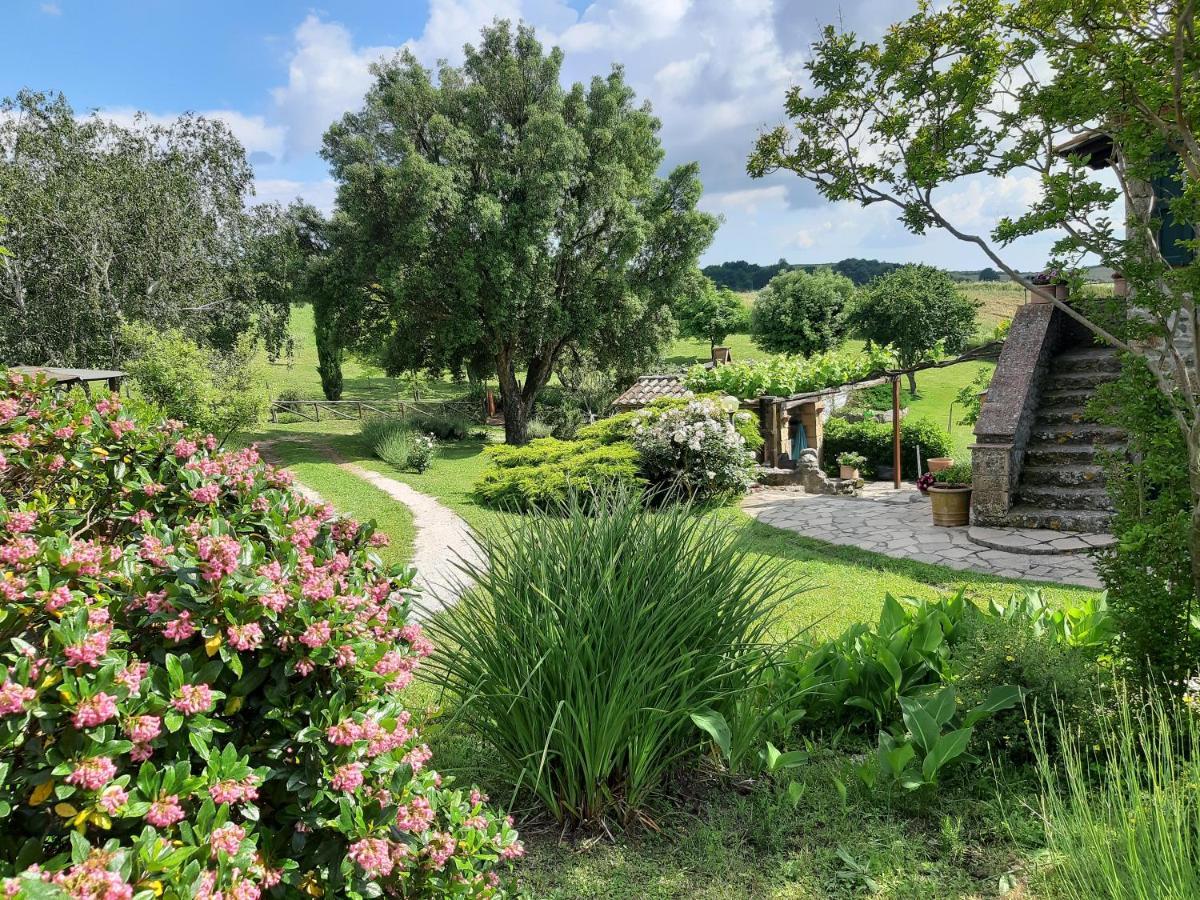 Agriturismo Cantinaccia Di Sopra Pitigliano Bagian luar foto
