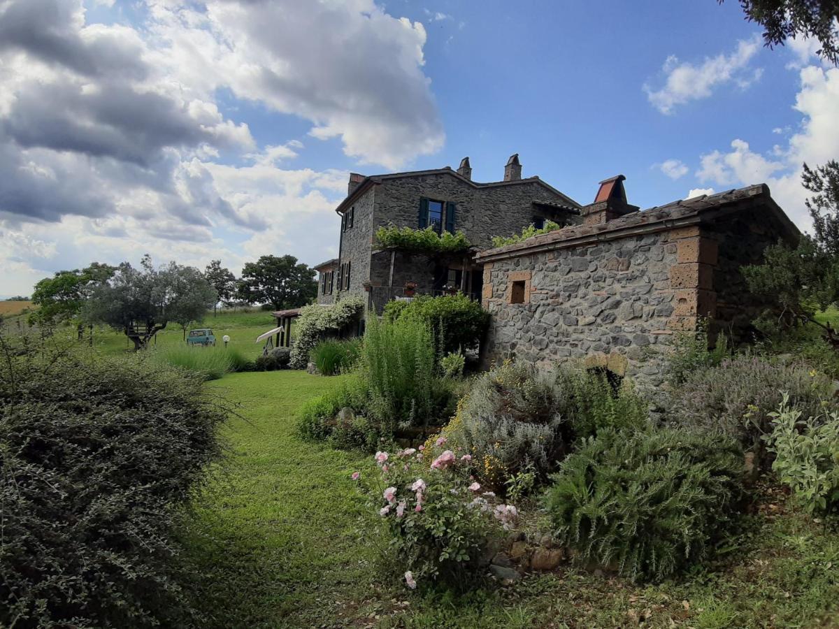 Agriturismo Cantinaccia Di Sopra Pitigliano Bagian luar foto