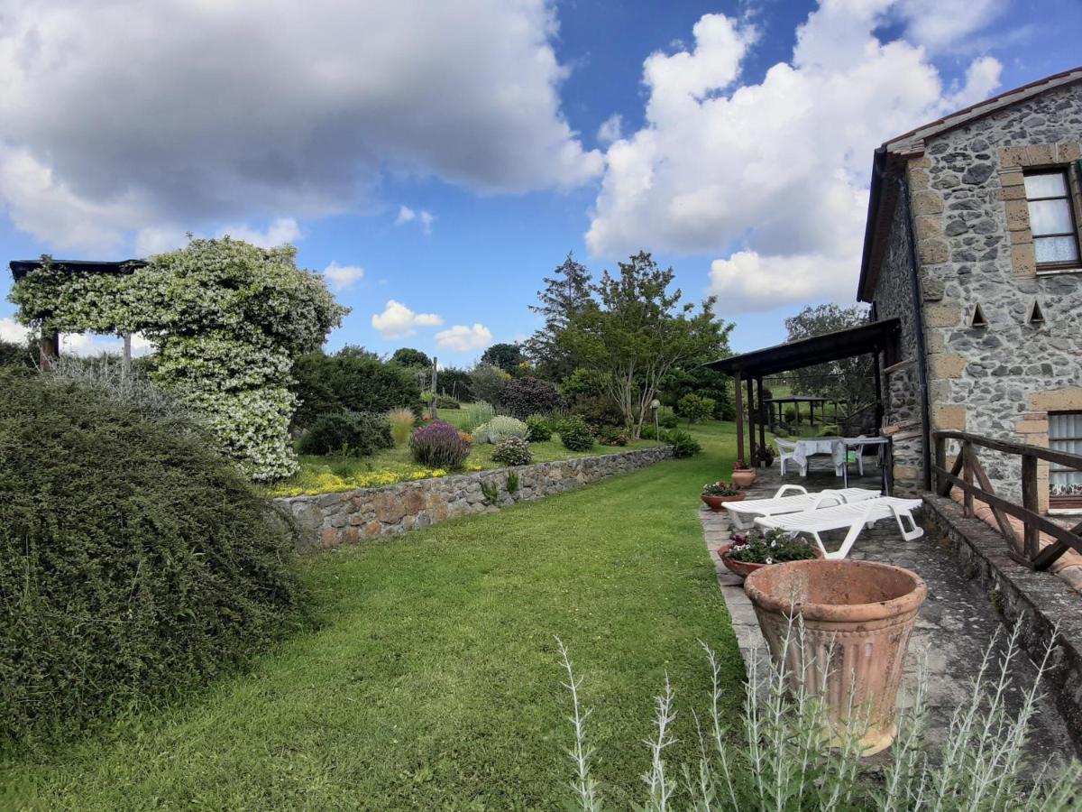 Agriturismo Cantinaccia Di Sopra Pitigliano Bagian luar foto