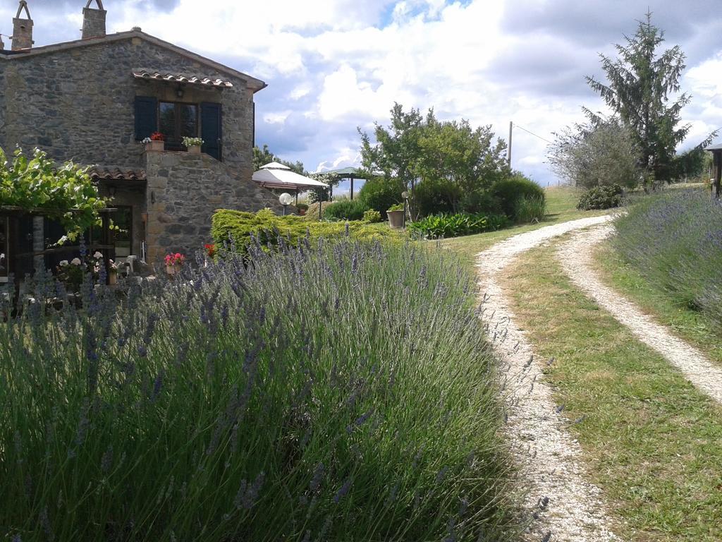 Agriturismo Cantinaccia Di Sopra Pitigliano Bagian luar foto