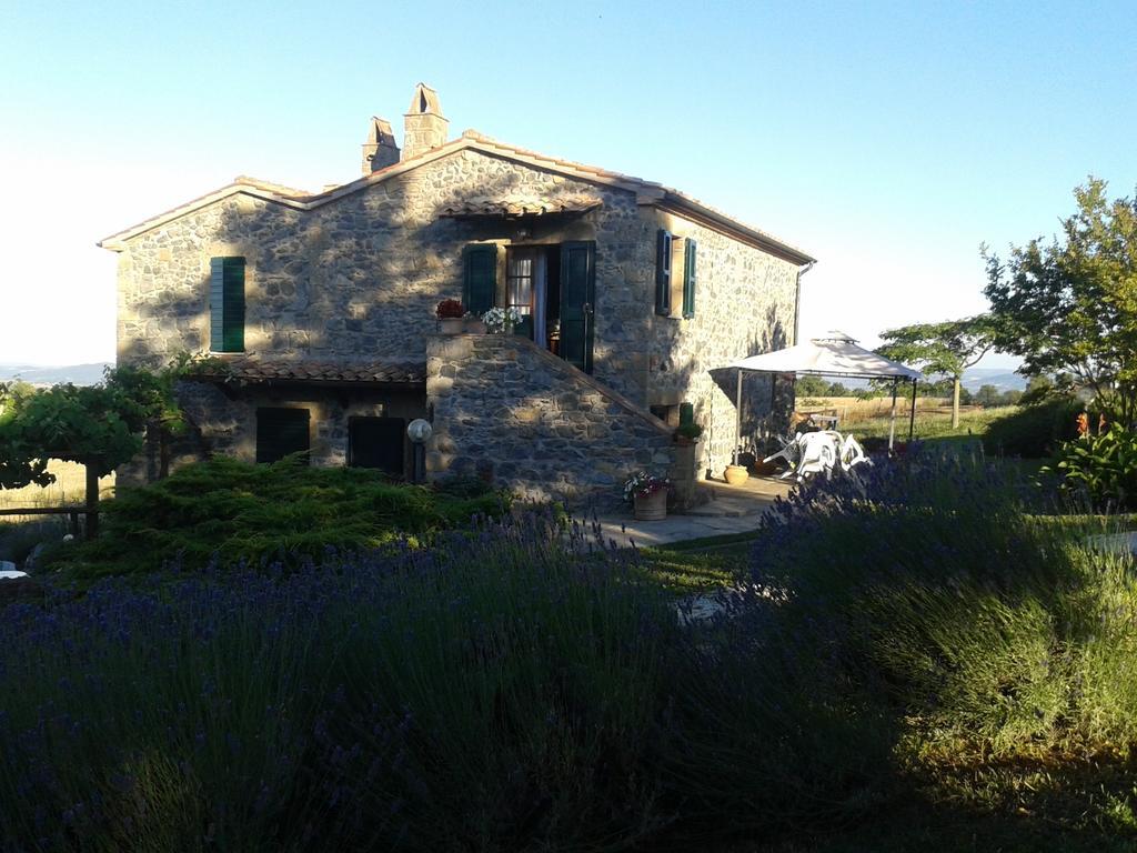 Agriturismo Cantinaccia Di Sopra Pitigliano Bagian luar foto