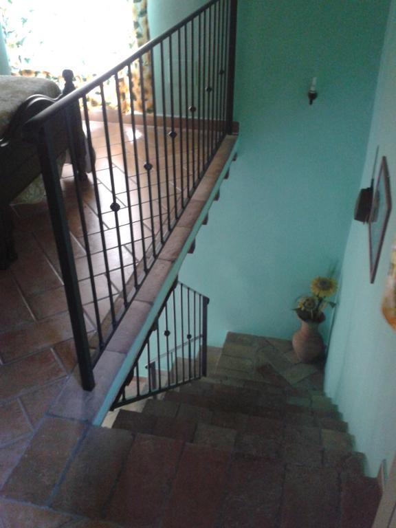 Agriturismo Cantinaccia Di Sopra Pitigliano Bagian luar foto